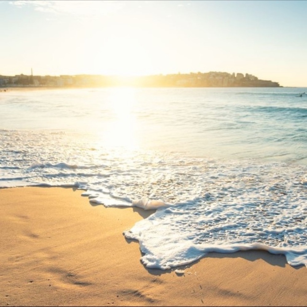 Meet your Posher, Em